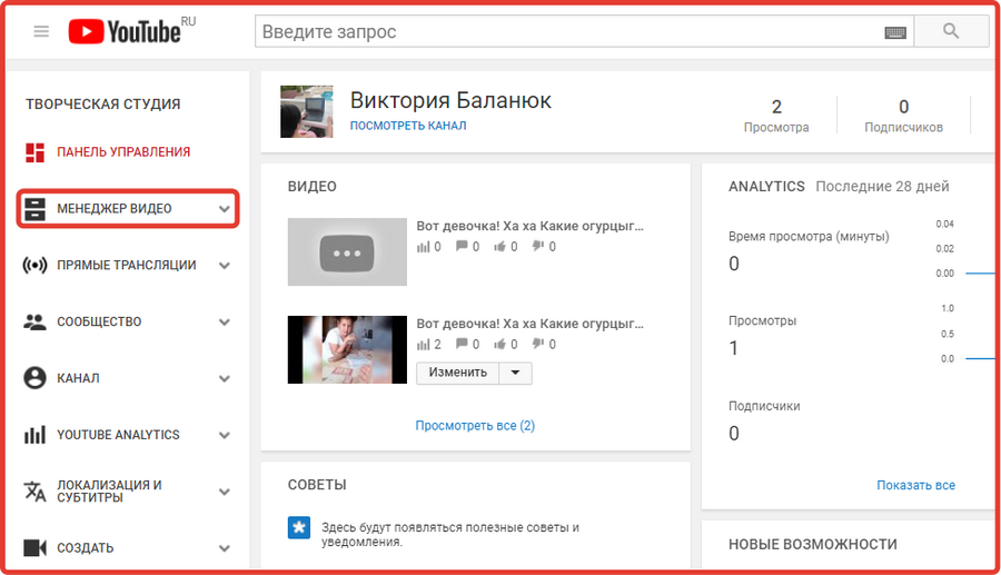 Менеджер видео