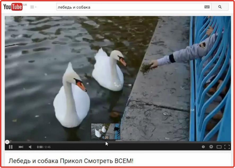 Выбираем украденную видеозапись